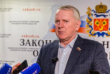 Закон по бродячим собакам принят